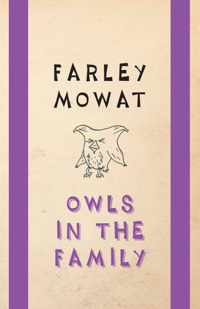 Owls in the Family